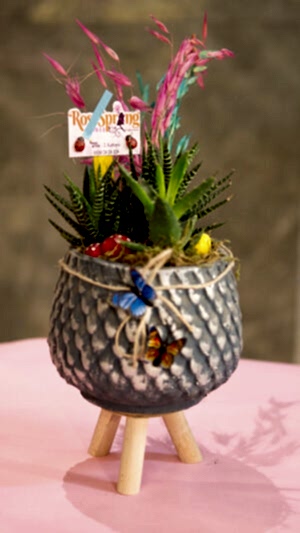 Ayaklı beton saksıda sukulentler