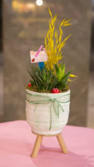 Ayaklı beton saksıda zebra sukulentler