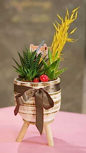 Ayaklı beton saksıda zebra sukulentler