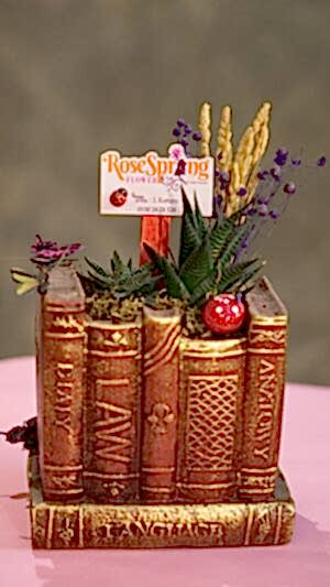 Kitap görünümlü beton saksıda sukulent