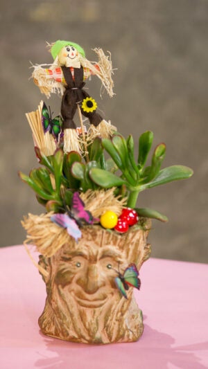 Gülen ağaç saksıda para çiçeği