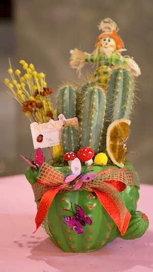 Yeşil seramik saksıda kaktüs