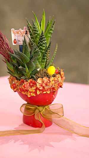 Çiçek desenli saksıda zebra sukulent