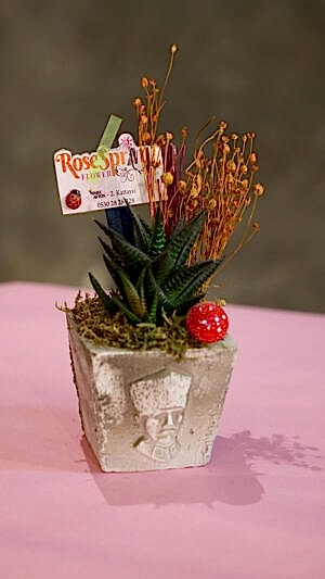 Atatürk büstlü beton saksıda sukulent