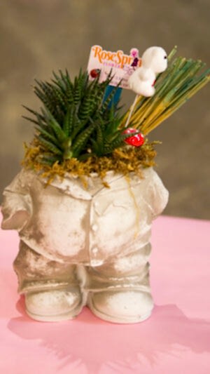 Şişman adam saksıda sukulentler