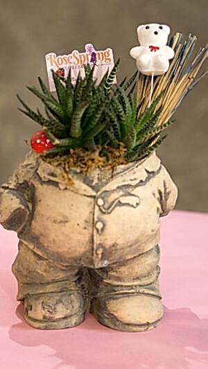 Şişman adam saksıda sukulent