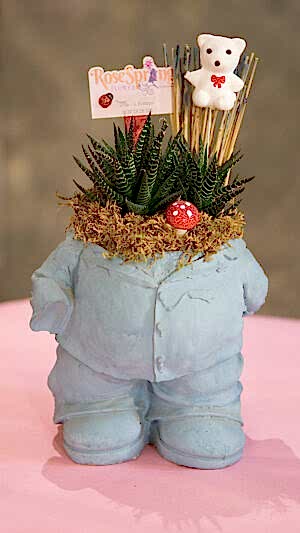 Mavi renkli şişman adam saksıda sukulent