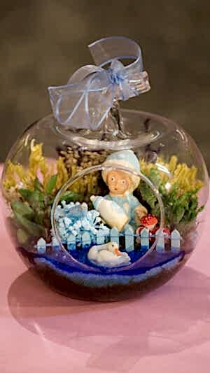 Erkek bebek hediyesi teraryum