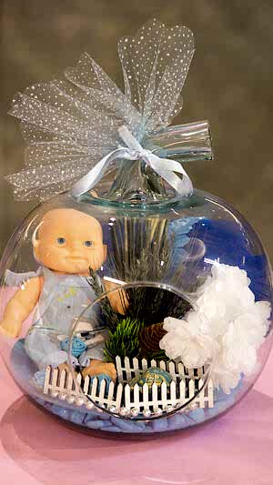 Erkek bebek hediyesi teraryum 3