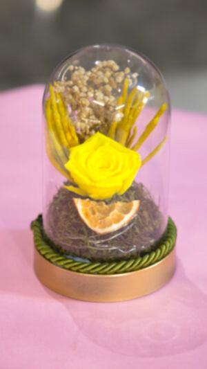Teraryum şeklinde gerçek şoklanmş gül kutuda ışıklı sarı gül