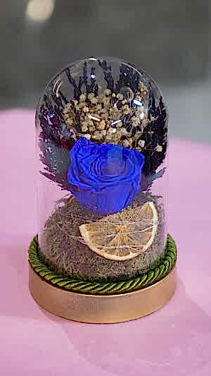 lTeraryum şeklinde gerçek şoklanmş gül kutuda ışıklı mavi gül