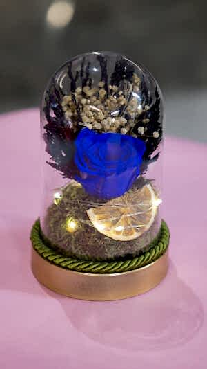 Alternative view of lTeraryum şeklinde gerçek şoklanmş gül kutuda ışıklı mavi gül