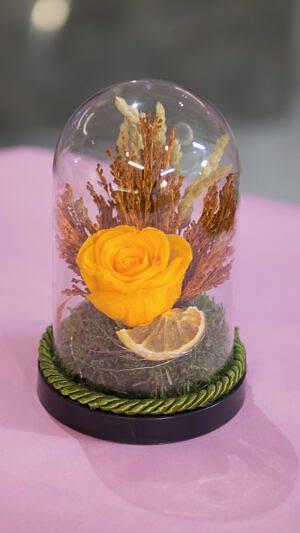 Alternative view of Teraryum şeklinde gerçek şoklanmş gül kutuda ışıklı koyu sarı gül