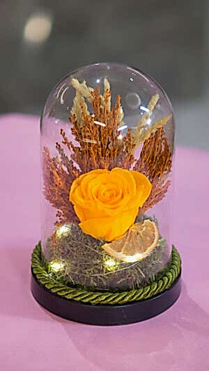 Teraryum şeklinde gerçek şoklanmş gül kutuda ışıklı koyu sarı gül