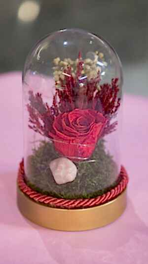 Alternative view of Teraryum şeklinde gerçek şoklanmş gül kutuda ışıklı kırmızı gül