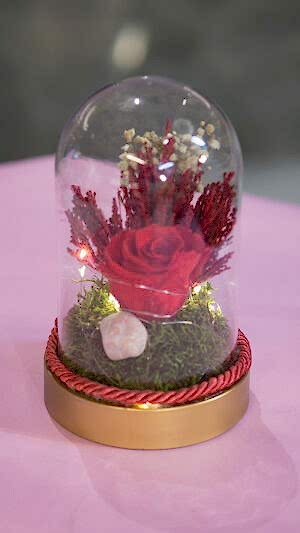 Teraryum şeklinde gerçek şoklanmş gül kutuda ışıklı kırmızı gül