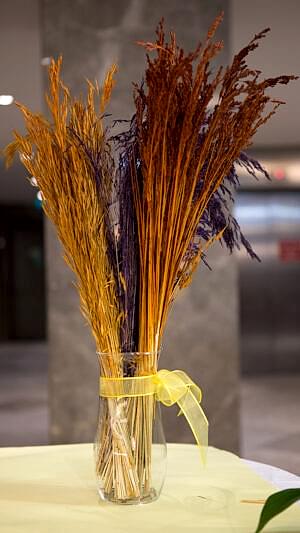 Kuru bitki demeti 10