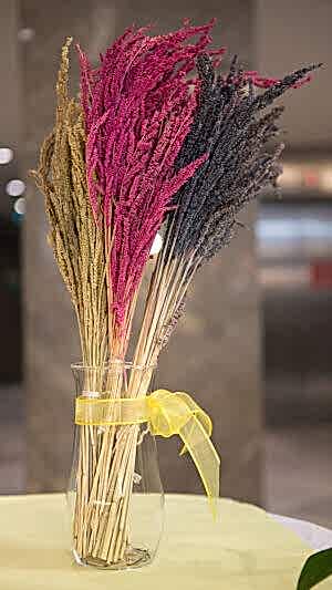 Kuru bitki demeti 12