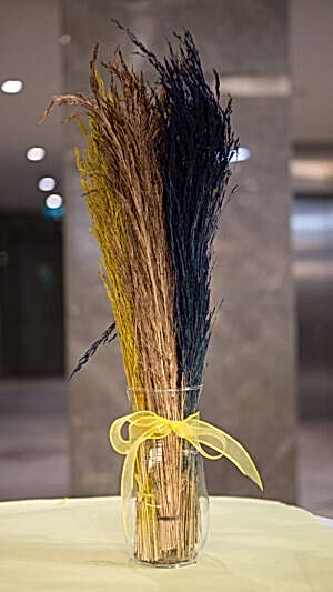 Kuru bitki demeti 16