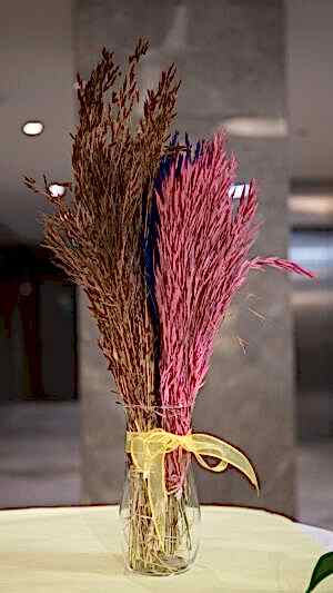 Kuru bitki demeti 17