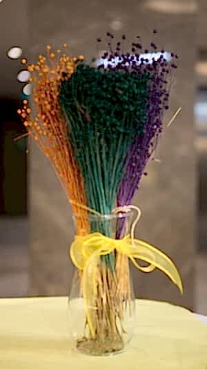 Kuru bitki demeti 19