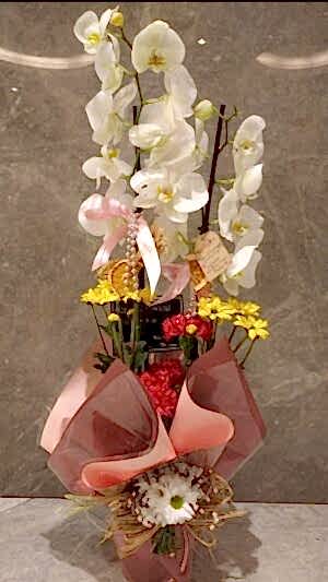 3 dallı beyaz orkide