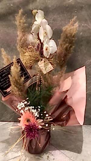 Çift Dallı Beyaz Orkide, Pampas Detaylı