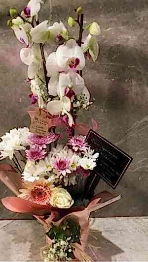 Çift Dallı İçi Pembe, Beyaz Orkide, Çiçeklerle Aranjmanlanmış