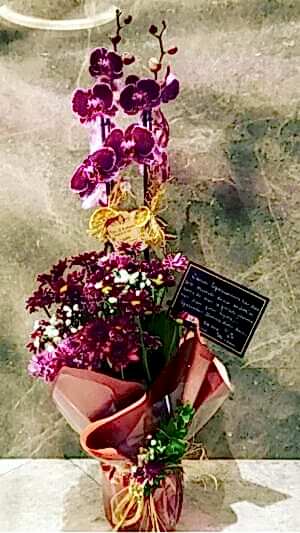 Çift Dallı Mor Orkide, Çiçeklerle Aranjmanlanmış