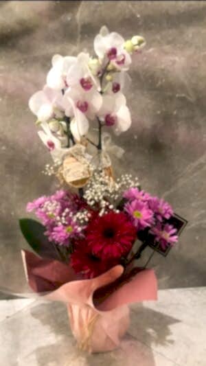 Çift Dallı İçi Pembe, Beyaz Orkide, Çiçeklerle Aranjmanlanmış