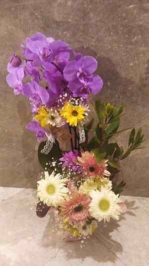 Çift Dallı Mor Orkide, Çiçeklerle Aranjmanlanmış
