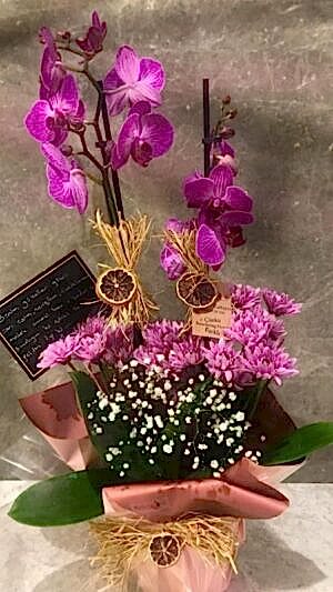 Çift Dallı Mor Orkide, Çiçeklerle Aranjmanlanmış