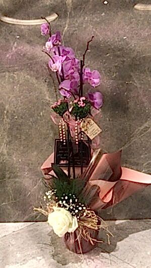 Çift Dallı Mor Orkide