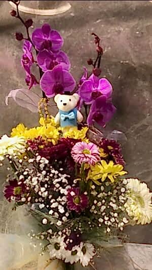 Çift dallı Mor Orkide, ayıcık ve çiçeklerle aranjman edilmiş