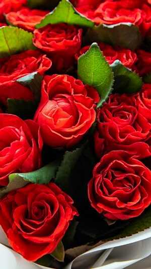 Söz, Nişan, Kız İsteme Buketleri