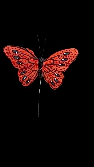 Özel tasarım kelebek