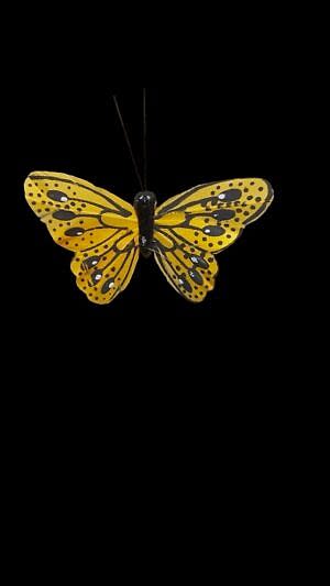 Özel tasarım kelebek