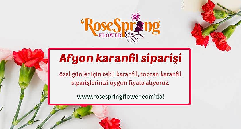 Afyon karanfil siparişi