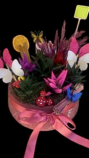 Alternative view of Kelebekli büyük boy sukülent