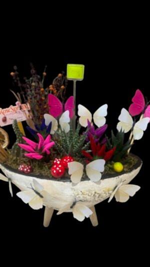 Alternative view of Oval beton saksıda sukulentler