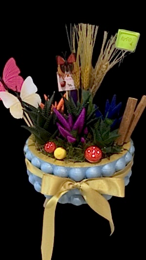 Mavi ayaklı beton saksıda kelebekli tarçınlı sukulent