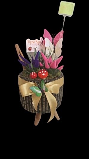 Kelebekli ayaklı sukülent