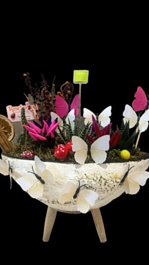 Oval beton saksıda sukulentler