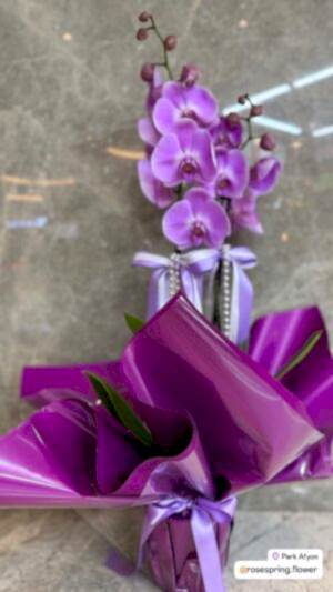 Alternative view of Çift Dal İthal Orkide